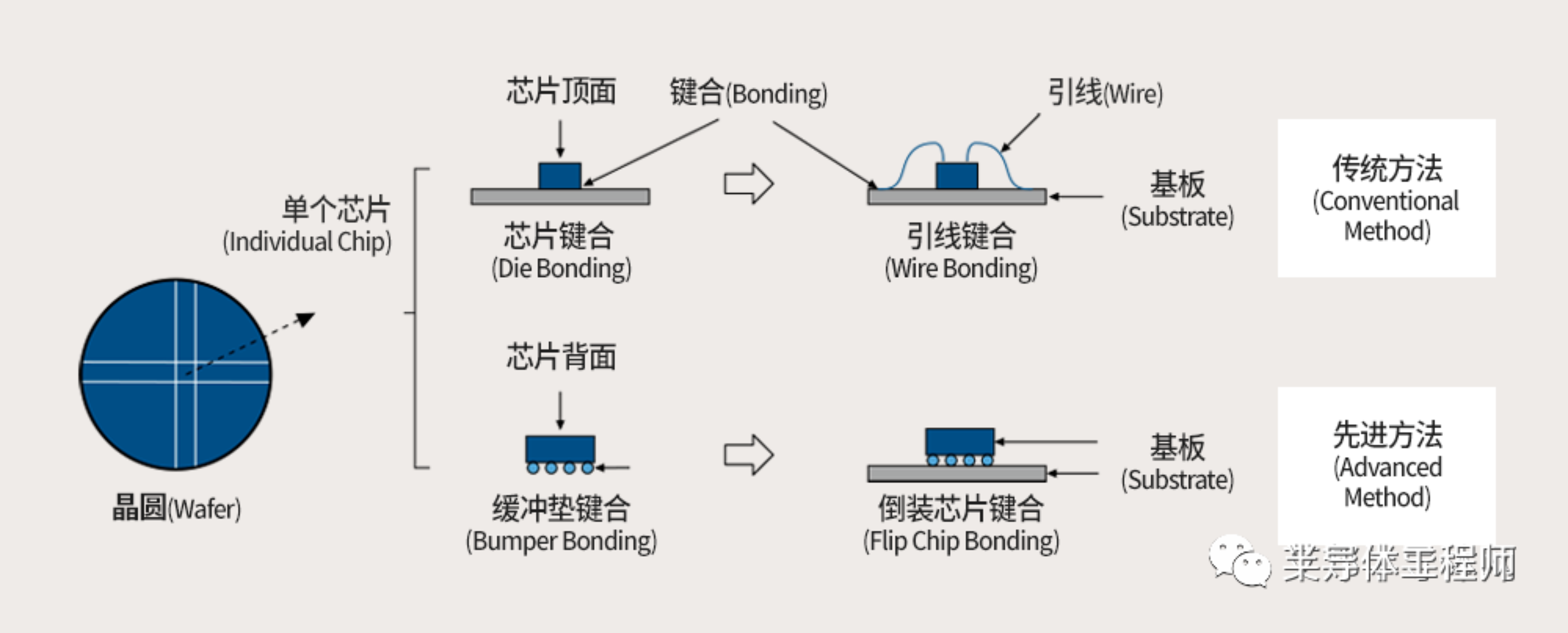 將芯片固定于封裝基板上的工藝——芯片鍵合(Die Bonding)